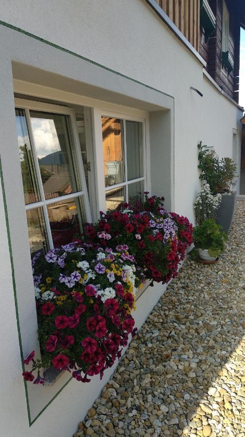 Appartements Fanny Sankt Margarethen im Lungau Luaran gambar